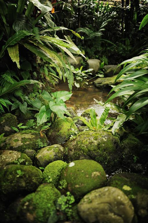 Heaven In Bali Apartman Penginyahan Kültér fotó